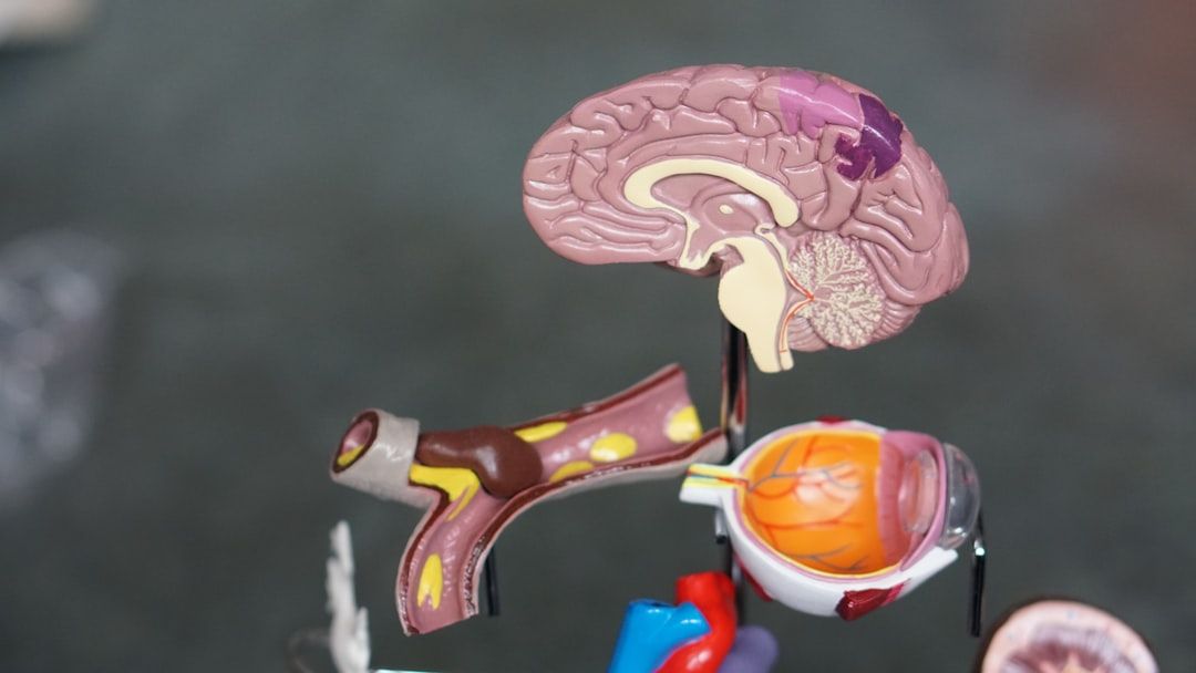 Boosting Brain Function: Exploring the Role of Magnesium in Cognitive Health