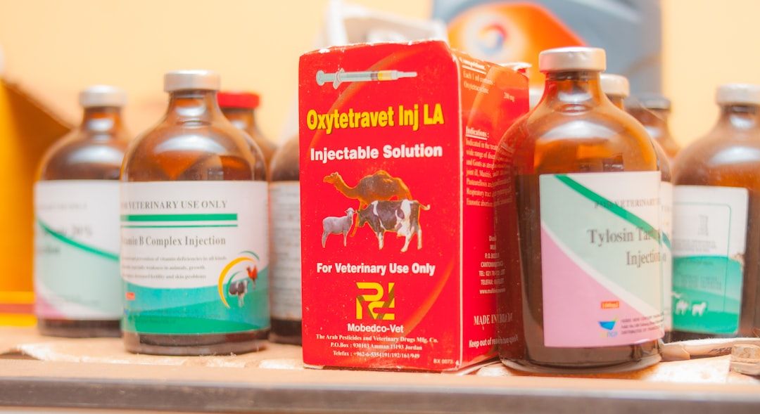 Ashwagandha and Stress Relief: How This Herb Became a Wellness Staple