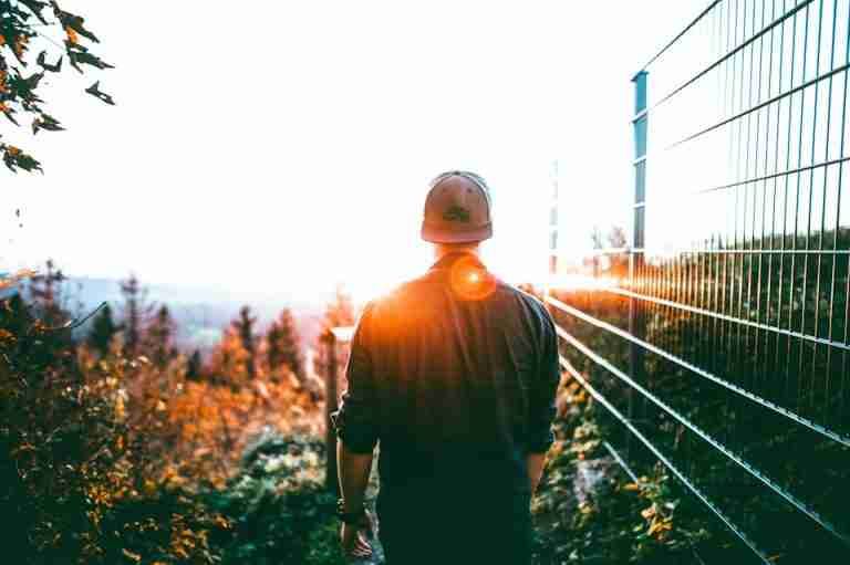 A man in casual wear walks through an idyllic forest at sunset, capturing a tranquil moment.