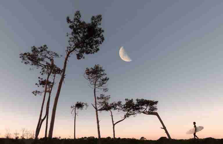 A lone surfer walks under a twilight sky with a half moon, framed by tall trees.