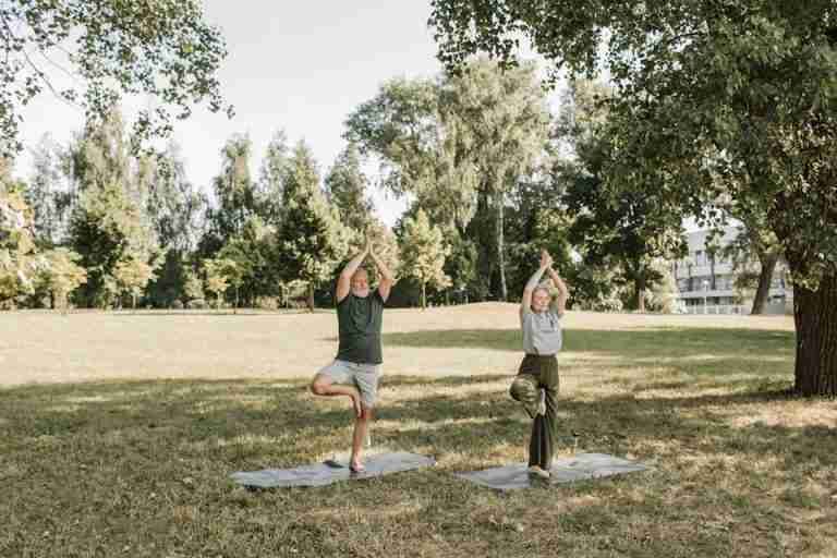 Elderly couple performing yoga in a sunny park, enhancing health and mindfulness.