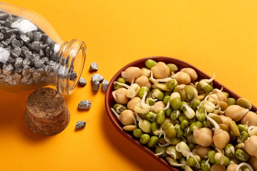 Plant-Based Proteins to Energize Your Day