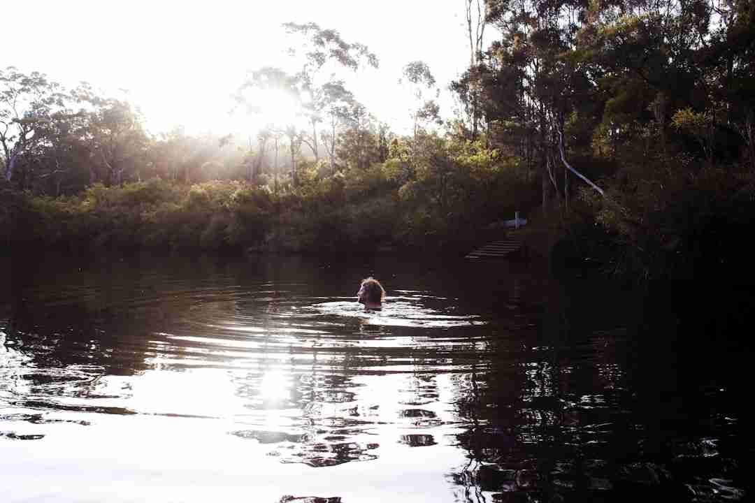 Trying Forest Bathing: Finding Calm Among the Trees