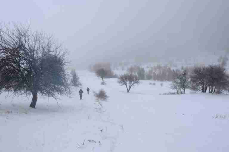 Two people walking on a foggy winter landscape surrounded by trees.