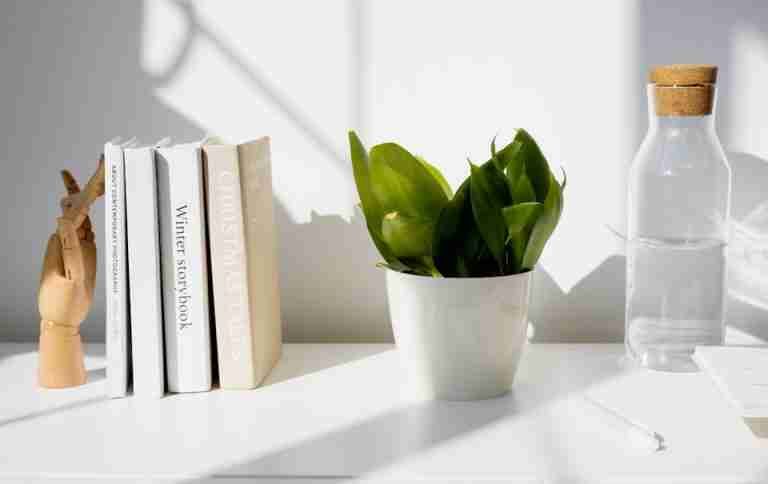 A bright minimalist desk with books, an indoor plant, and a glass water bottle under sunlight.