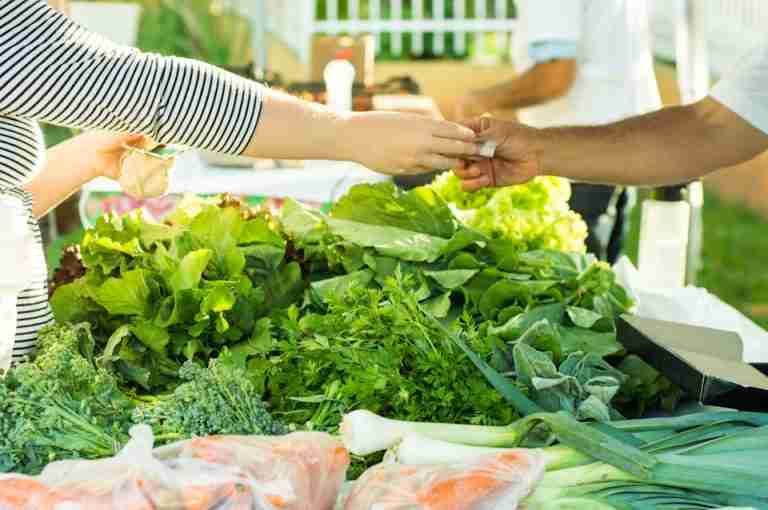 Customer hands cash to seller at a vibrant vegetable stall in Viçosa, Brazil.