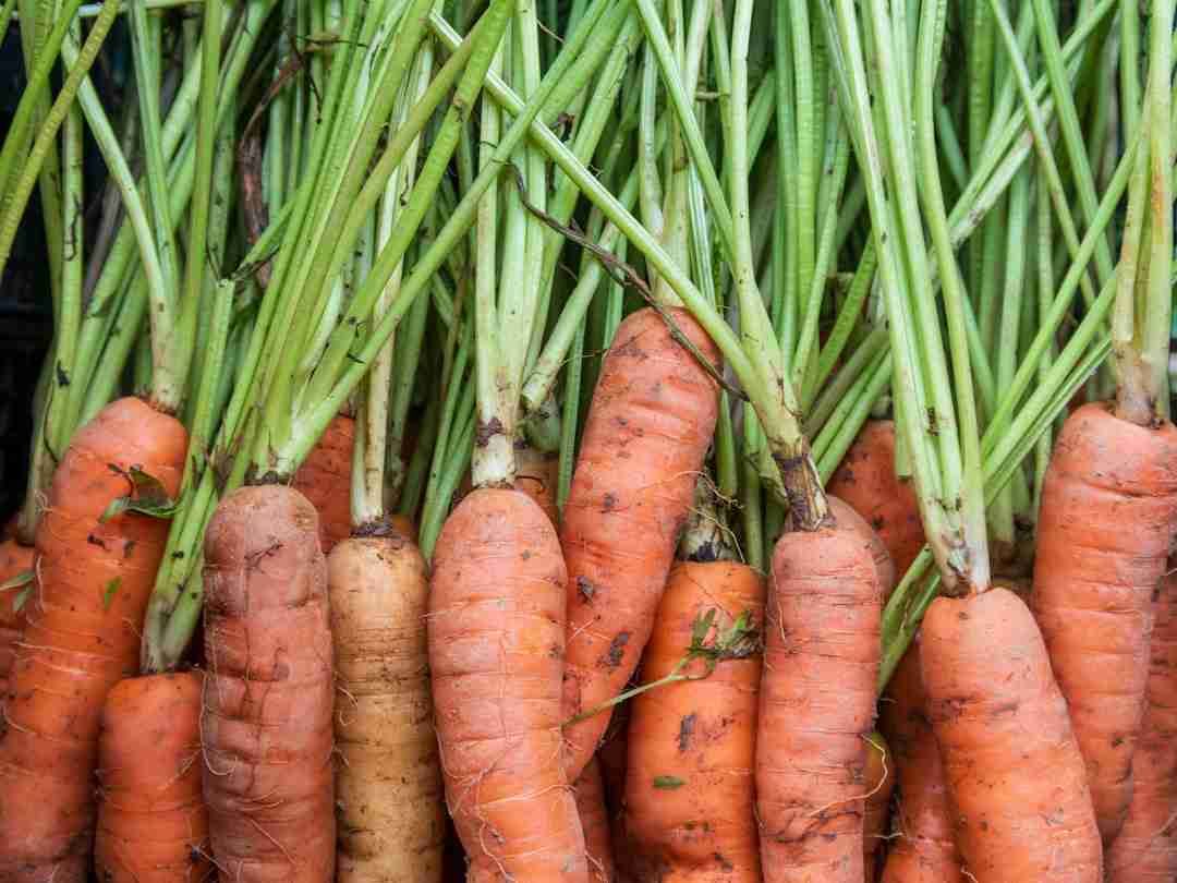 Why Eating Carrots Won’t Turn You Orange, But This Will Boost Your Glow