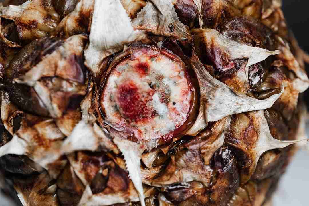 Exploring the Magic of Fermented Foods: From Sauerkraut to Kombucha