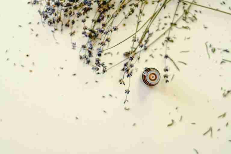 Top view of dried lavender flowers and essential oil bottle, perfect for aromatherapy themes.