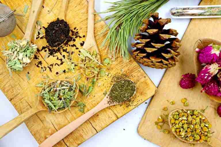 A top view of various herbal tea blends on wooden spoons with pine and flowers, showcasing natural ingredients.
