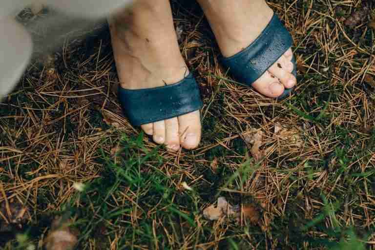 Detailed view of feet in blue sandals standing on wet grass and pine needles.