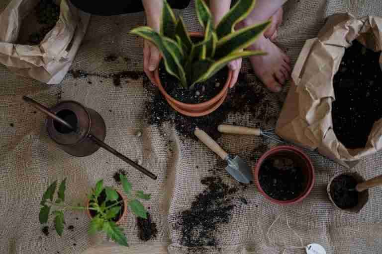 A serene scene of home gardening with potted plants and tools on a burlap mat.