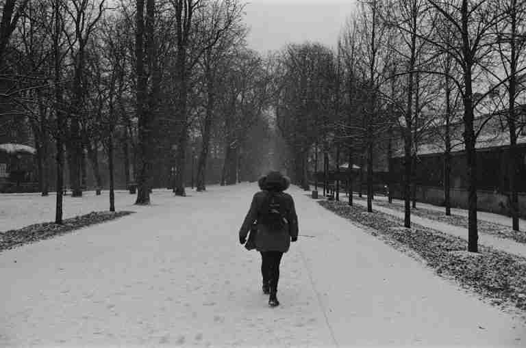 A person walks down a snow-covered path lined with trees in Nancy, France during winter.