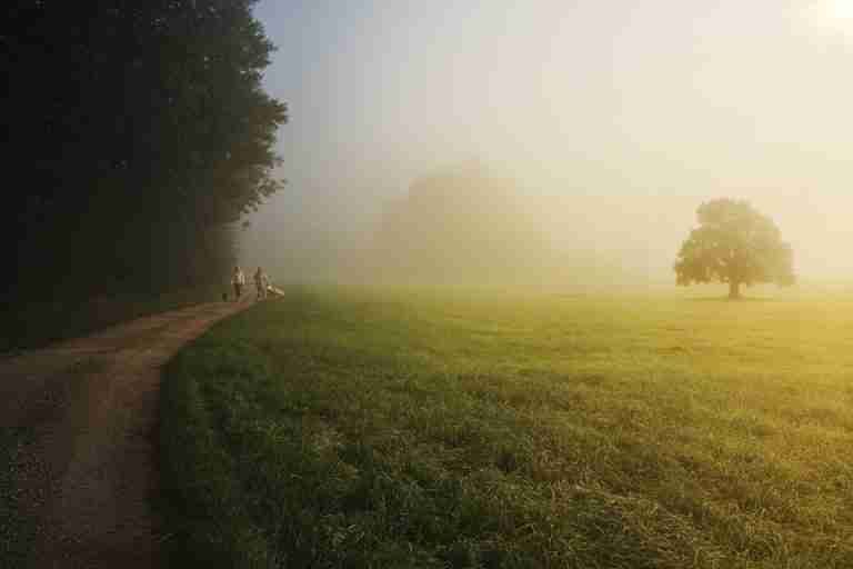 Two people walking dogs on a foggy rural path through a misty countryside landscape.