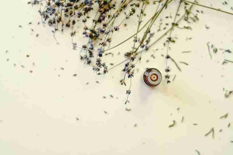 Top view of dried lavender flowers and essential oil bottle, perfect for aromatherapy themes.