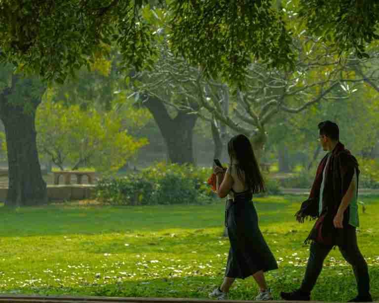 A couple enjoys a leisurely walk in a picturesque park filled with lush green trees and grass.