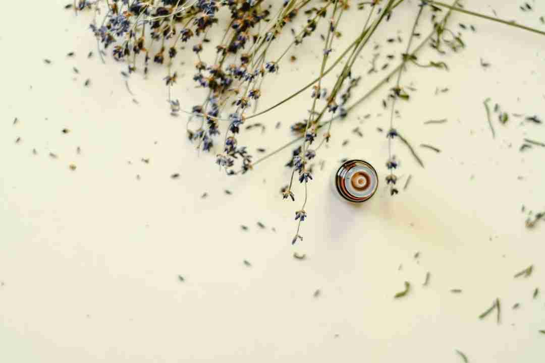 Harnessing Lavender: Nature’s Answer to Sleepless Nights