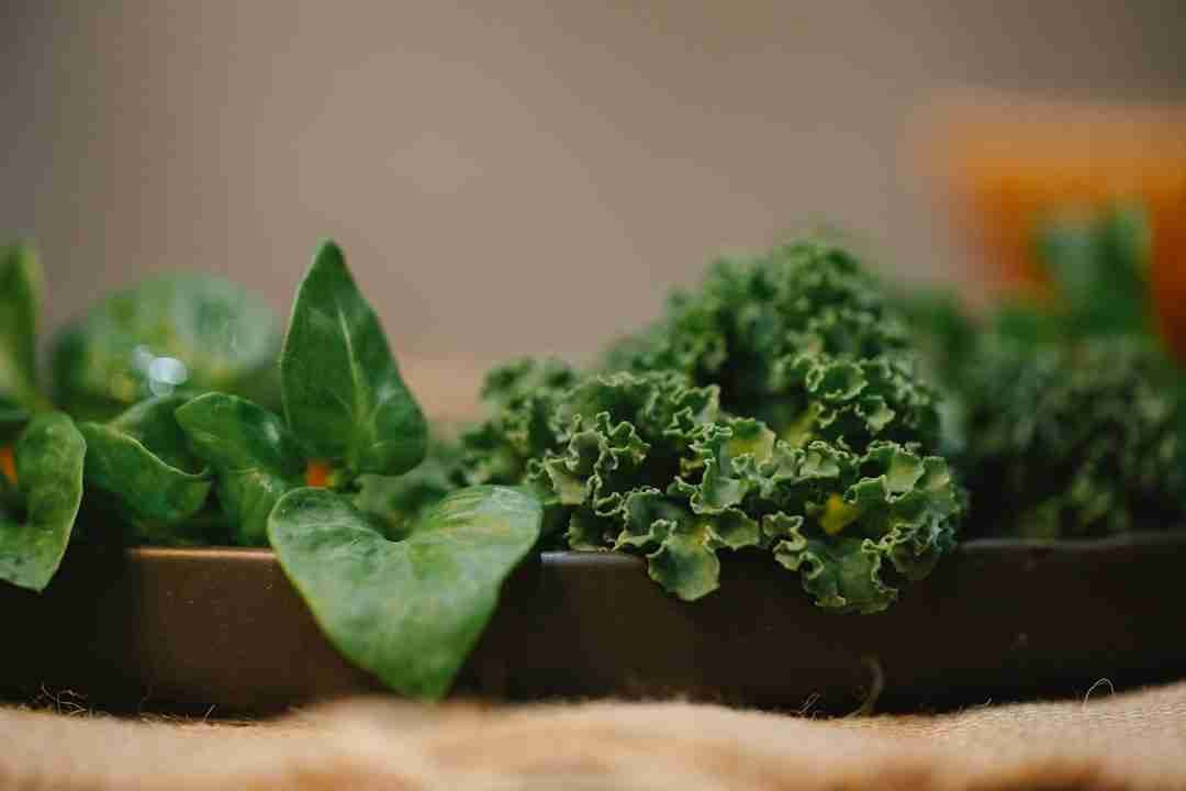 Swapping Your Afternoon Coffee for a Green Smoothie: A Week-Long Experiment