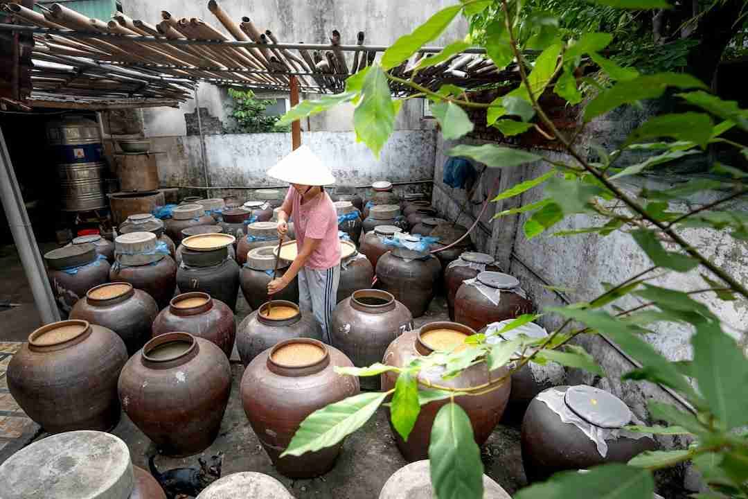 The Surprising Impact of Fermented Foods on Your Daily Energy Levels