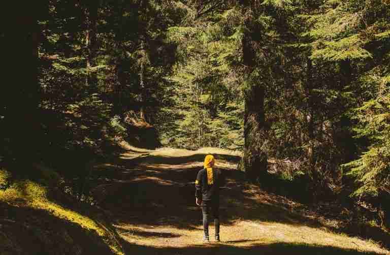 Person walking alone on a sunlit forest path in France, highlighting solitude and nature's beauty.