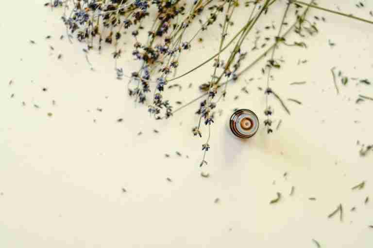 Top view of dried lavender flowers and essential oil bottle, perfect for aromatherapy themes.