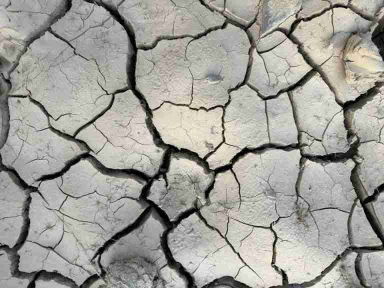 Close-up of cracked earth highlighting the impact of drought and climate change.