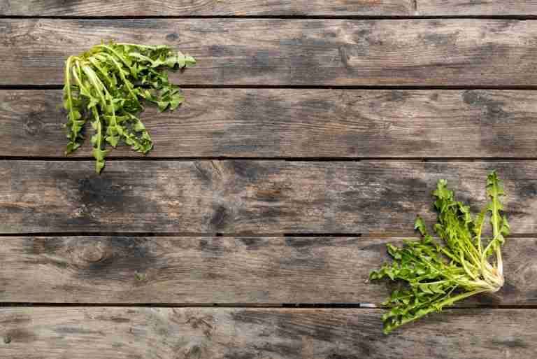 Top view of dandelion greens on a rustic wooden table, perfect for natural food presentations.