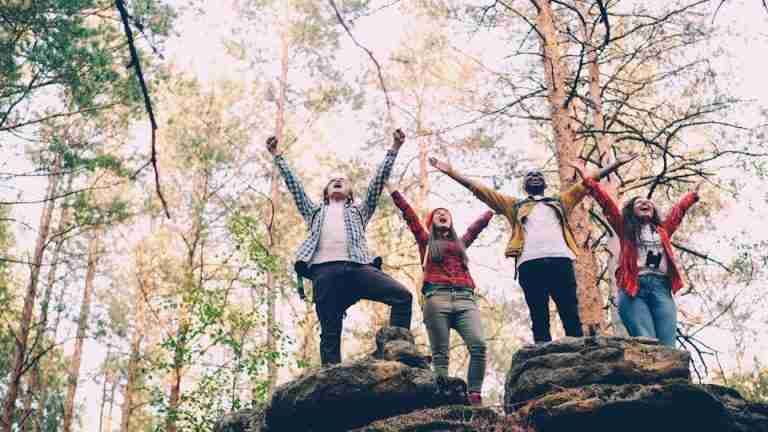 Group of friends cheering with joy outdoors in a sunny forest setting.