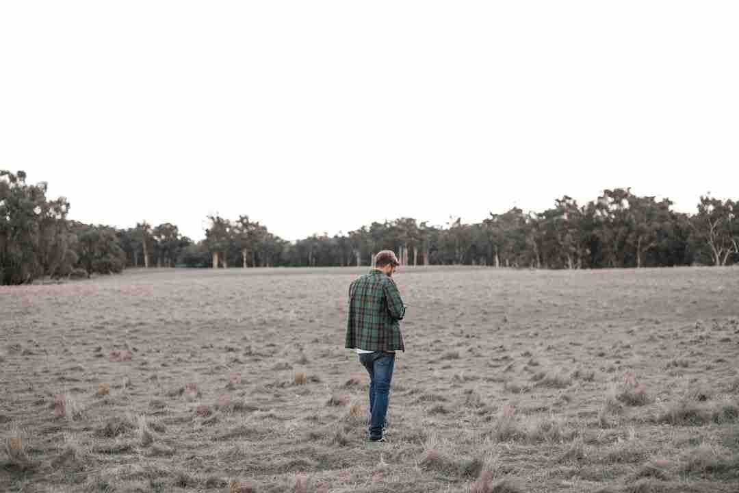 Finding Calm in Chaos: How Nature Walks Changed My Perspective