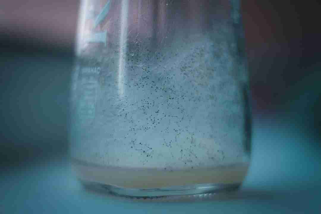 Swapping Soda for Kombucha: A Refreshing Journey to Better Health