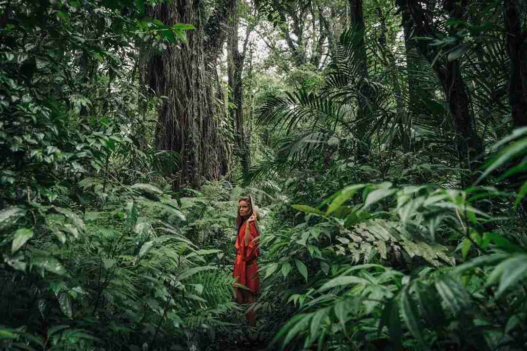 The Unexpected Joy of Forest Bathing on a Rainy Day