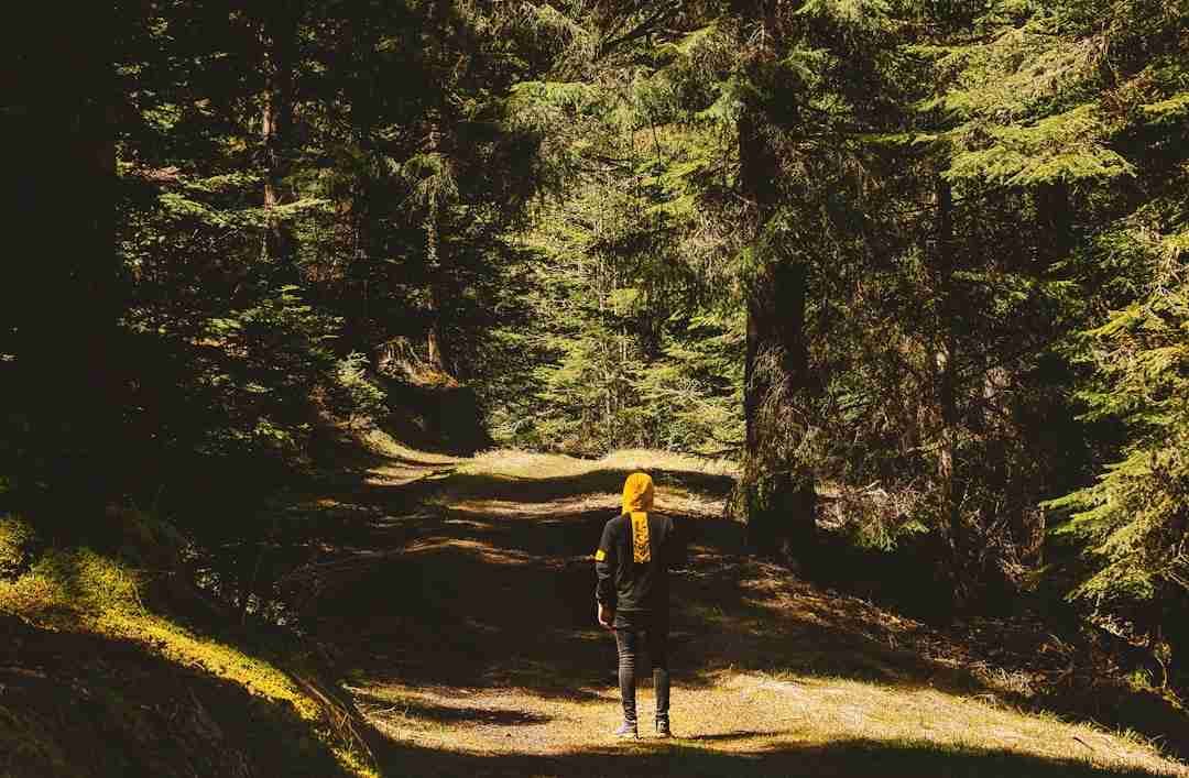 The Unexpected Way Hiking Can Transform Your Meditation Practice