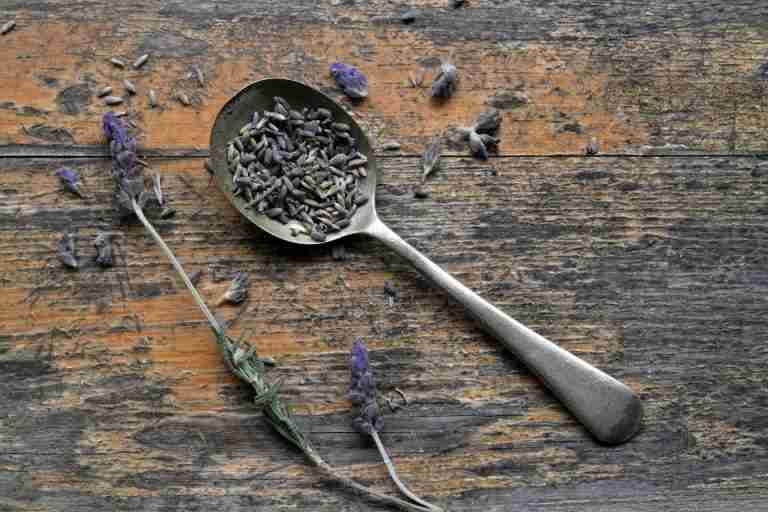 Close-up of lavender seeds on a vintage spoon on a wooden surface, rustic theme.