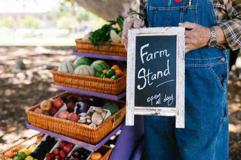 A farm stand showcases fresh fruits and vegetables in baskets, with a welcoming sign and rustic aesthetic.