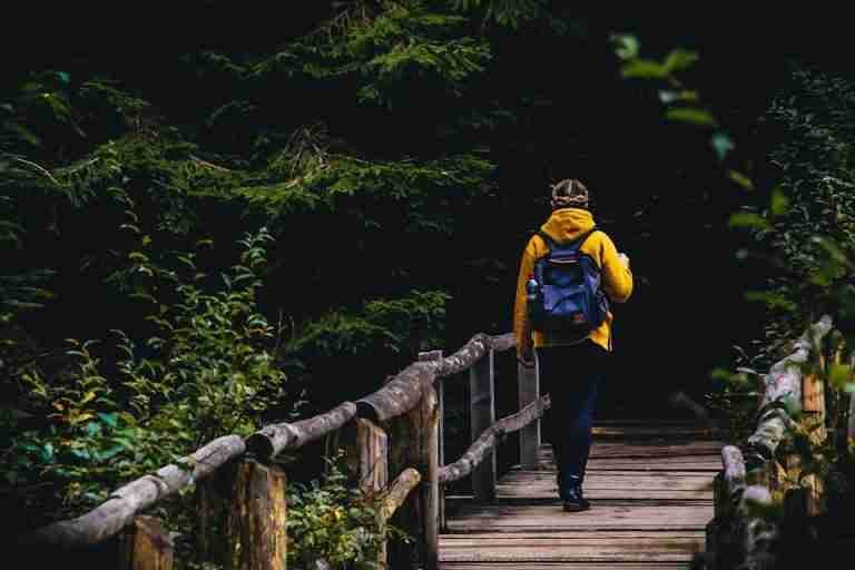 Person with backpack crossing wooden bridge in a forest, embracing nature.