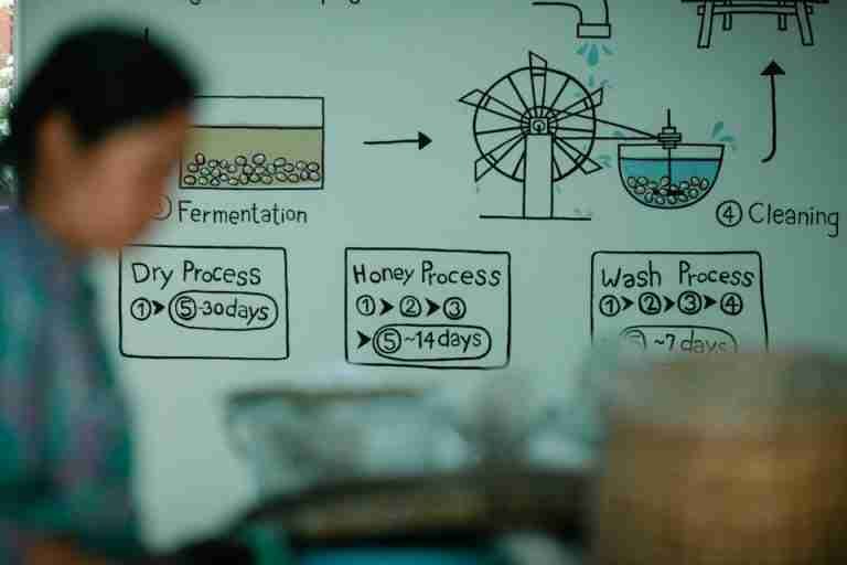 Whiteboard illustration of coffee processing steps with blurred figure in foreground.