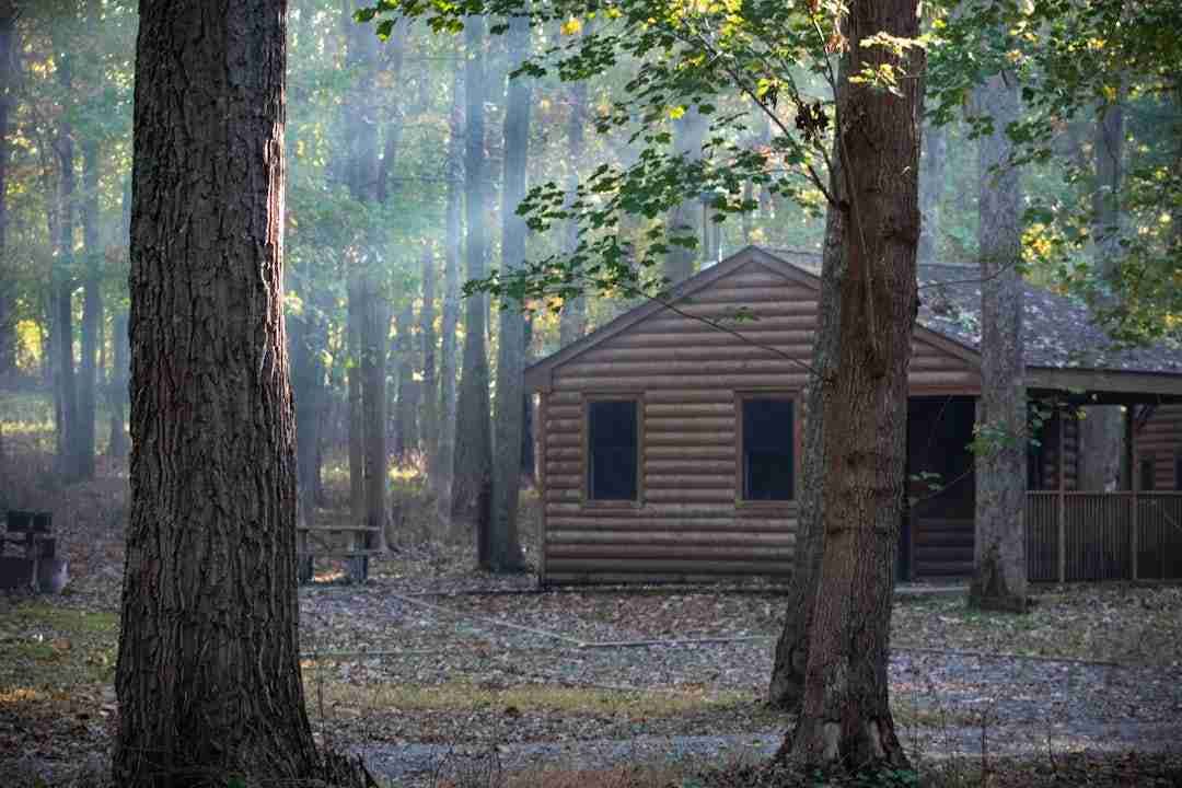 Unplugged Adventures: Finding Peace in a Digital Detox Weekend