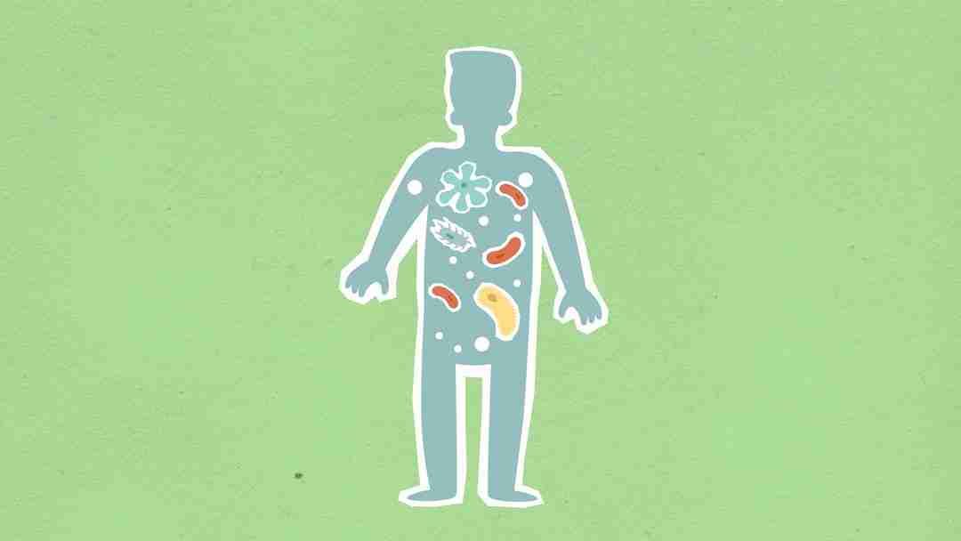 Why Adding Fermented Foods to Your Diet Could Change Everything