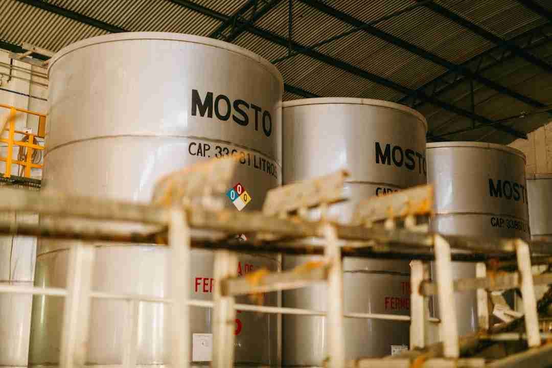 Why Fermented Foods Are Shaking Up Your Gut Health Routine
