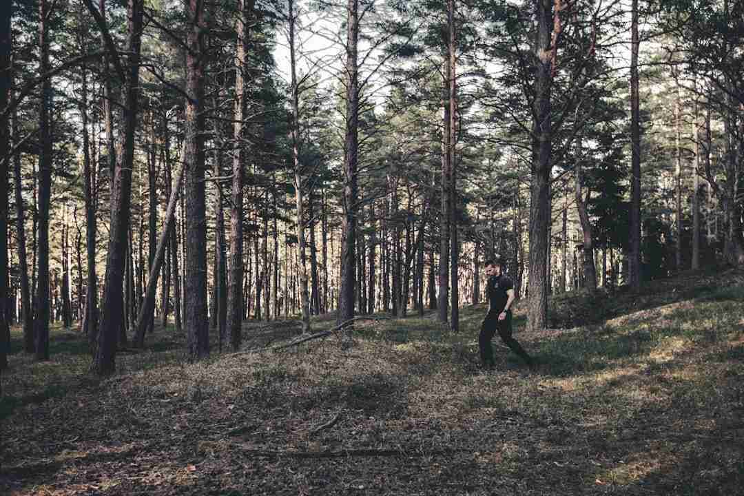 Why Forest Bathing Became My Weekend Ritual
