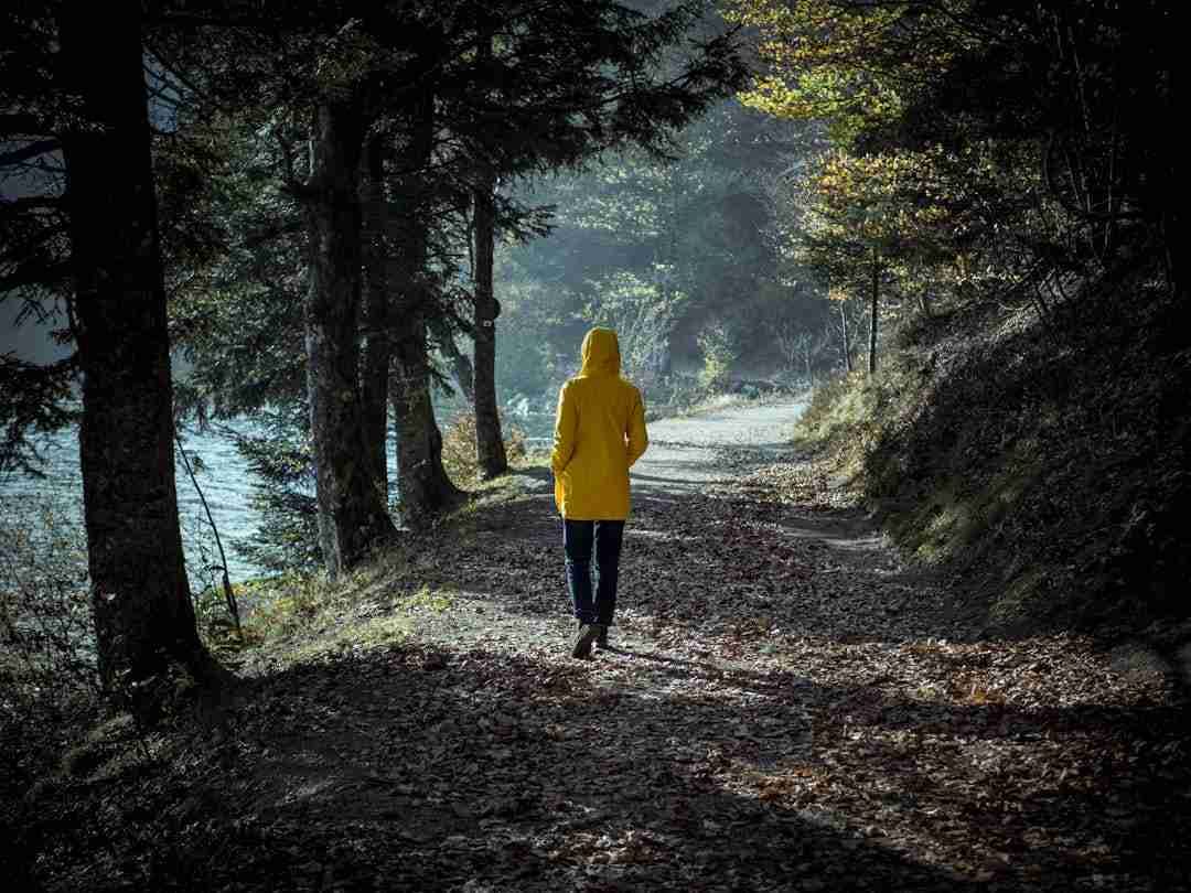 Why Taking Daily Nature Walks Transformed My Well-Being