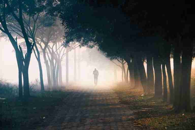 A lone person walks along a foggy, tree-lined path in Dhaka during a serene winter morning.