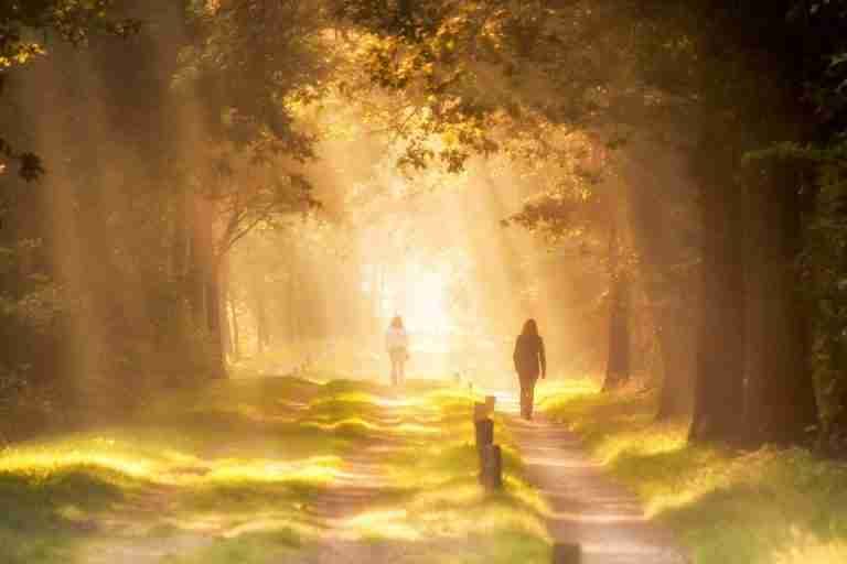 Sunlight streaming through trees on a forest path with people walking, creating a serene morning scene.