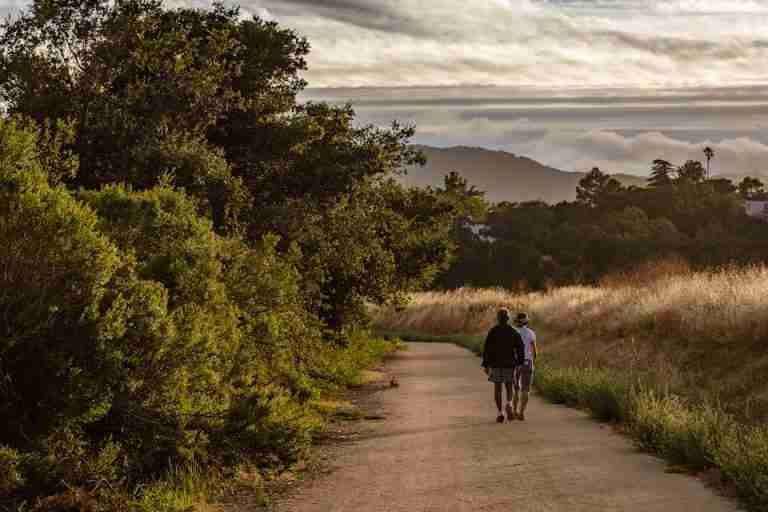 Two people enjoy a peaceful walk down a countryside path surrounded by lush greenery at sunset.