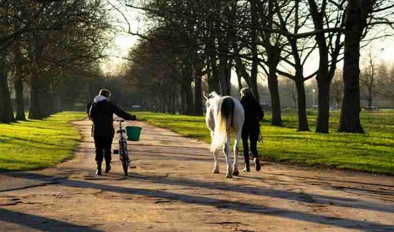 Two people walking with a horse and bicycle in a serene English park path during late afternoon.