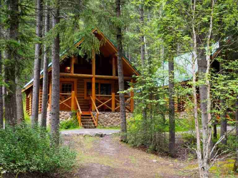 Charming wooden cabin nestled among trees, ideal for a serene forest retreat.