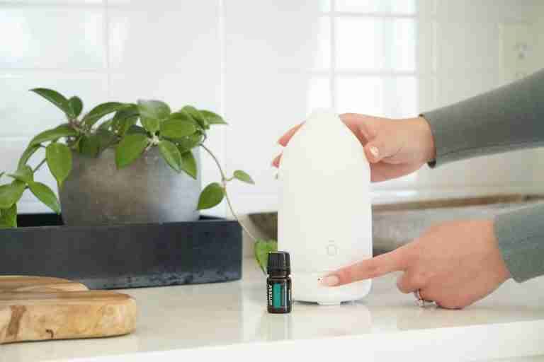 Hands activating a diffuser with essential oil and potted plant for a calming home ambiance.