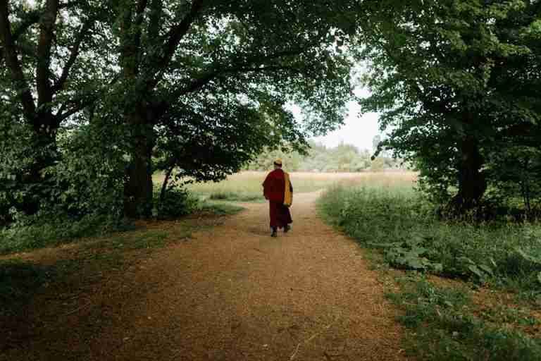 A serene forest path with a solitary monk walking under lush green trees, evoking peace and contemplation.