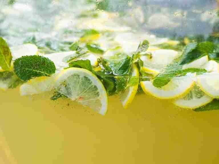 Close-up of refreshing lemonade with lemon slices and fresh mint leaves in a clear beverage.