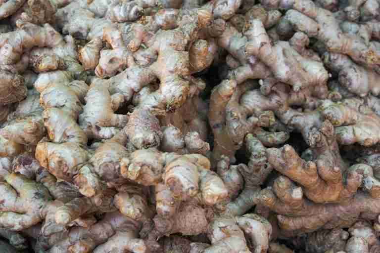 High-quality image showing a close-up bulk view of fresh ginger roots.